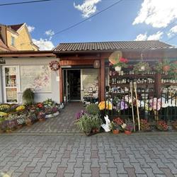 Azalia. Kwiaciarnia, Kisielice godziny otwarcia