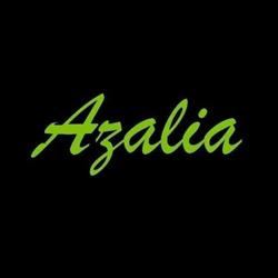 Azalia. Kwiaciarnia. Zielińska R., Świecie godziny otwarcia
