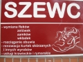 Iwonicki Krzysztof. Szewstwo - Produkcja, Kołobrzeg - godziny otwarcia