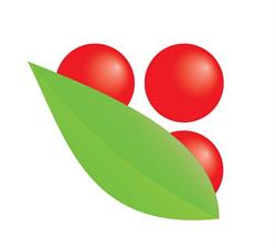 Ardisia. Centrum ogrodnicze i art. dekoracyjne, Leszno godziny otwarcia
