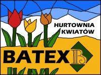 Batex. Pw. Hurtownia, Piotrków Trybunalski godziny otwarcia