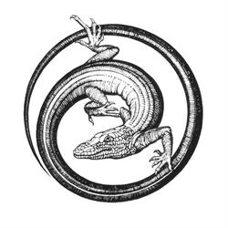 Tattoo & Piercing Studio, Poznań godziny otwarcia