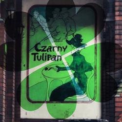 Czarny Tulipan. Pub, Toruń godziny otwarcia
