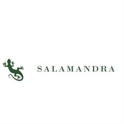 Salon Salamandra, Dzierżoniów godziny otwarcia