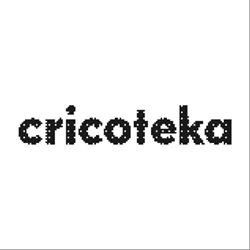 Ośrodek Dokumentacji Sztuki Tadeusza Kantora Cricoteka w Krakowie, Kraków godziny otwarcia