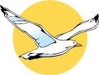 Albatros Travel wynajem komfortowych autokarów, Dobrzewino godziny otwarcia