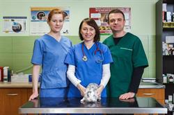 "focus-Vet", Skawina godziny otwarcia