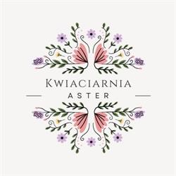 Aster. Kwiaciarnia. Kuzak T., Brzesko godziny otwarcia