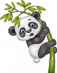 PANDA S.C., Gryfice godziny otwarcia