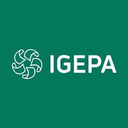 Igepa Polska. Sp. z o.o. Dystrybutor papieru dla poligrafii, Kraków godziny otwarcia