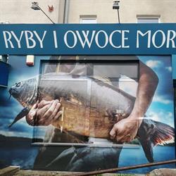 Perkoz. Ryby, owoce morza. Trzciński K., Olsztyn godziny otwarcia