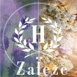"załęże" Hotel, Katowice godziny otwarcia