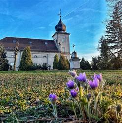 Parafia Ewangelicko-Reformowana, Zelów godziny otwarcia