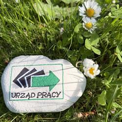 Powiatowy Urząd Pracy, Żary godziny otwarcia