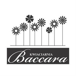 Baccara. Kwiaciarnia. Bednarek m., Czarnków godziny otwarcia