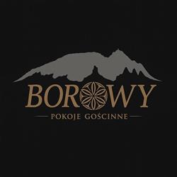 Borowy. Pokoje Gościnne. Rosiek K., Kościelisko godziny otwarcia