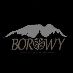 Borowy. Pokoje Gościnne. Rosiek K., Kościelisko godziny otwarcia
