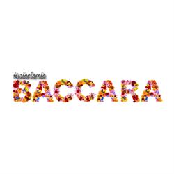 Baccara Nowa. Kwiaciarnia. Wasilewski K, Legionowo godziny otwarcia