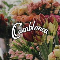 Casablanca Hurtownia kwiatów żywych, kwiatów sztucznych oraz art. dekoracyjnych, Częstochowa godziny otwarcia
