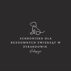 Schronisko Dla Bezdomnych Zwierząt, Żyrardów godziny otwarcia