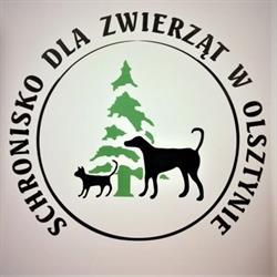 Schronisko Dla Zwierząt, Olsztyn godziny otwarcia