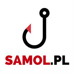 Team-Samol II. Samol A., Gliwice godziny otwarcia