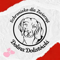 Schronisko Dla Zwierząt, Białystok godziny otwarcia