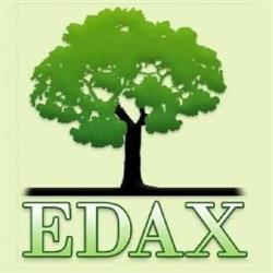 Edax. Międzynarodowe biuro podatkowe, Rzeszów godziny otwarcia