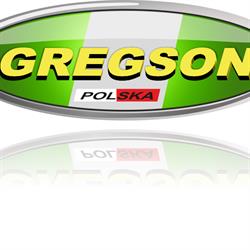 Gregson Polska. Sp. Z O.o. Repliki Samochodów Sportowych, Mielec godziny otwarcia