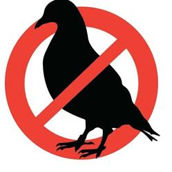 Bird Control s.c., Bydgoszcz godziny otwarcia