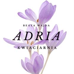 Kwiaciarnia ADRIA, Beata Wajda, Tarnów godziny otwarcia