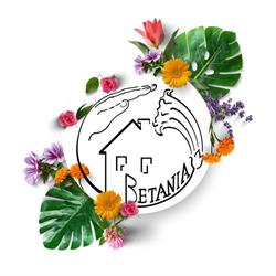 Betania. Dom Pomocy Społecznej, Miechów godziny otwarcia
