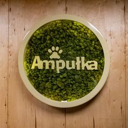 Ampułka Specjalistyczna Przychodnia Weterynaryjna, Mińsk Mazowiecki godziny otwarcia