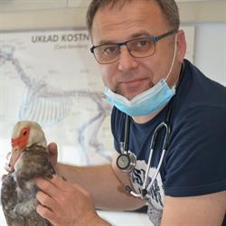 Cztery Łapy. Gabinet weterynaryjny. Blicharz A., lek. wet., Starachowice godziny otwarcia