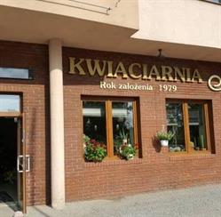 Aldona. Kwiaciarnia. Kudrycka A., Białystok godziny otwarcia