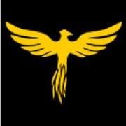 Phoenix Polska Sp. z o.o., Szczecin godziny otwarcia