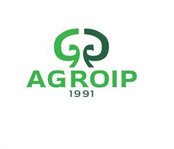 Agroip. Sp. Z O.o. Skup, Handel, Przetwórstwo Pieczarek, Kamienica Polska godziny otwarcia