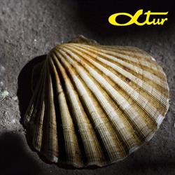 Alfa-Tur. Biuro turystyczno - pielgrzymkowe, Wrocław godziny otwarcia