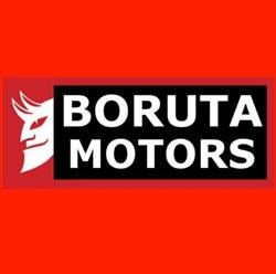 Boruta Motors. Obsługa Diagnostyczna Pojazdów, Wyszogród godziny otwarcia