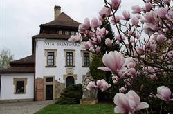 Dwór Karwacjanów. Galeria Sztuki, Gorlice godziny otwarcia