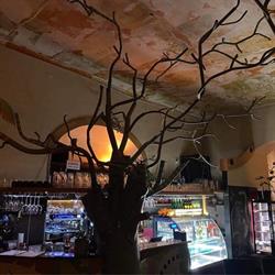 Cafe Botanica. Kawiarnia, Kraków godziny otwarcia