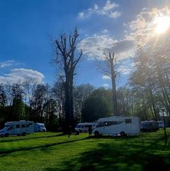 Camping nr 103 "Clepardia", Kraków godziny otwarcia