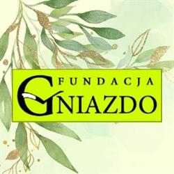 Gniazdo. Fundacja Dla Ludzi Potrzebujących Pomocy. Śląska Szkoła Trenerów, Katowice godziny otwarcia