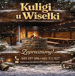 Wis-Tur. Kuligi Doliną Białej Wisełki. Wisełka P., Wisła godziny otwarcia