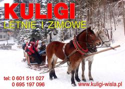 Wis-Tur. Kuligi Doliną Białej Wisełki. Wisełka P., Wisła godziny otwarcia