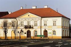Muzeum im. J. Dunin-Borkowskiego, Krośniewice godziny otwarcia