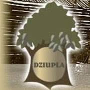 Restauracja Dziupla - Truskaw, godziny otwarcia