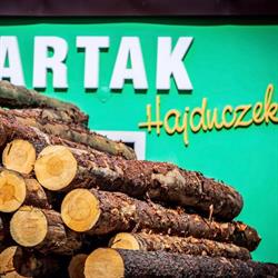 Hajduczek Franciszek. Tartak, Jejkowice godziny otwarcia