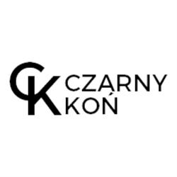 Czarny Koń. Kantor Wymiany Walut. Lombard, Łódź godziny otwarcia