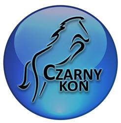 Czarny Koń. Kantor Wymiany Walut. Lombard, Łódź godziny otwarcia